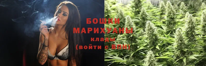 Каннабис SATIVA & INDICA  Тавда 